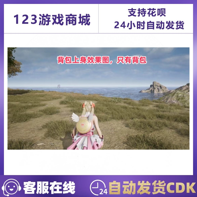 PUBG绝地求生皮肤魔力甜心萨莉幸运背包2级包吃鸡G币CDK兑换码 - 图0