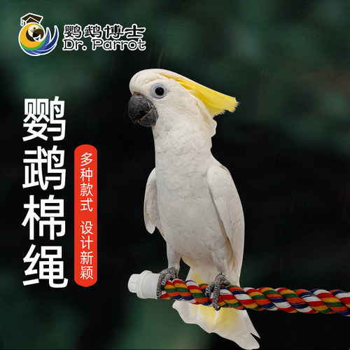 哈根哈利鹦鹉攀爬棉绳站棒站棍杆磨爪棒玄凤牡丹鸟笼玩具用品配件 - 图0