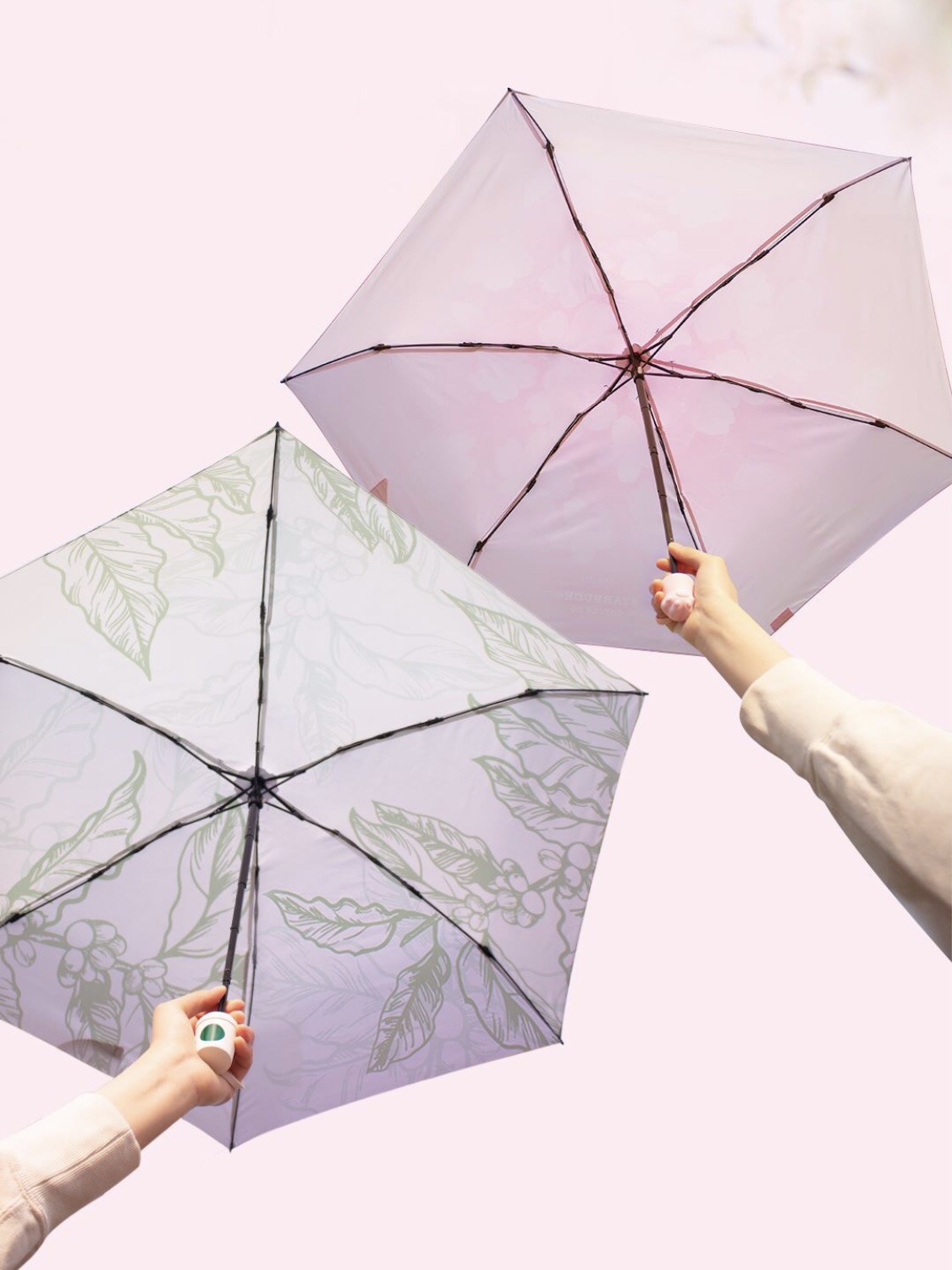 星巴克春日春花绽放胶囊雨伞粉色猫爪白绿色轻巧便携晴雨两用伞具 - 图1