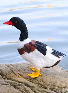 仿真羽毛鸭子模型饭店农场装饰