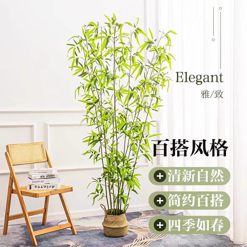 仿真竹子室内室外装饰绿植禅意隔断景观古典屏风中式装饰盆栽造景,淘宝优惠券,粉丝福利购,淘宝优惠卷