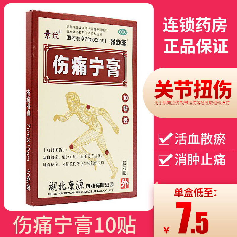 景致 康源 伤痛宁膏10片活血散淤消肿止痛关节扭伤韧带肌肉拉伤YP - 图0