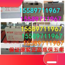 Witt NPG65-12WTSIR accumulator 12V100AH 120150200 65 38 NP40 38 24 17