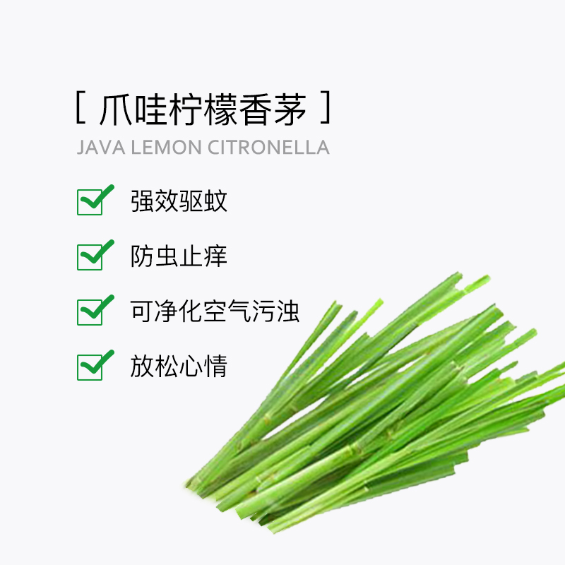 Puressentiel爪哇柠檬香茅精油单方除臭清洁夏季驱蚊璞医香植物-图1