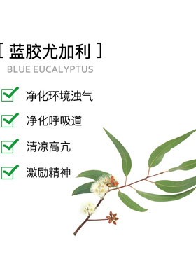 尤加利精油Puressentiel