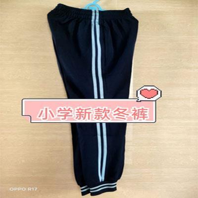 学校同款大镇小学校服南海区大沥男女小学生校服长袖短裤运动外套-图3