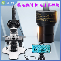 Hayyo high-definition Type-c 2 0 Interface CCD electronic eyepiece 5 million pixels to pick up mobile phone computer Biome biome microscope Astronomical Looking Glasses Support Photo Measurement Magnifier