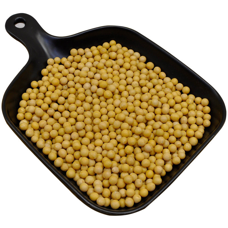 2019年新豆农家自种黄豆东北打豆浆 胜格黄豆
