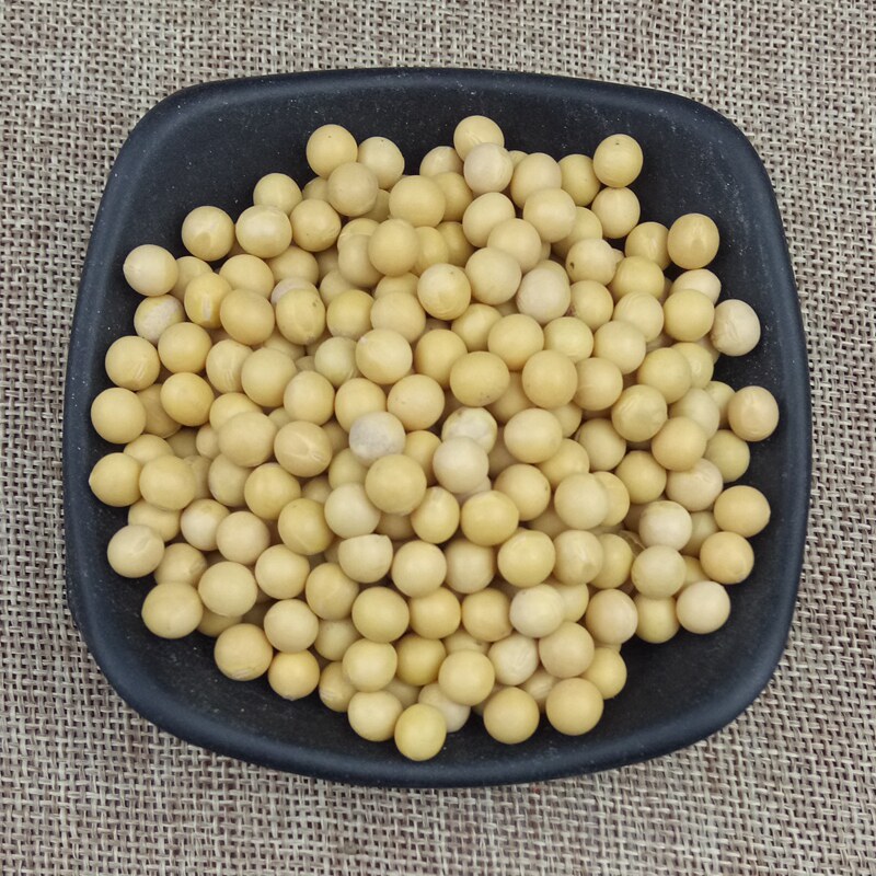 东北黄豆生豆芽打豆浆天然含硒大豆 胜格黄豆