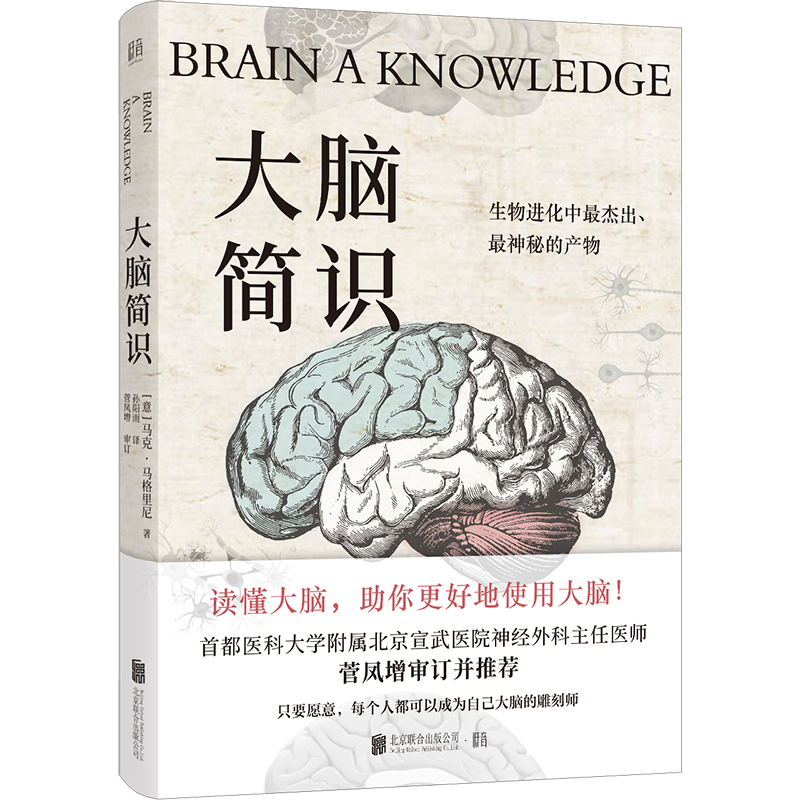 官方店包邮大脑简识 马克马格里尼以风趣通俗的方式讲解世界脑科学前沿成果读懂人类大脑的各项机能机制成人科普书籍 - 图0