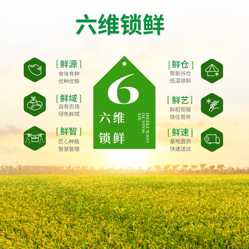 光明谷锦甄选海丰优质大米10kg20斤装 25年新米上海海丰农场,淘宝优惠券,粉丝福利购,淘宝优惠卷