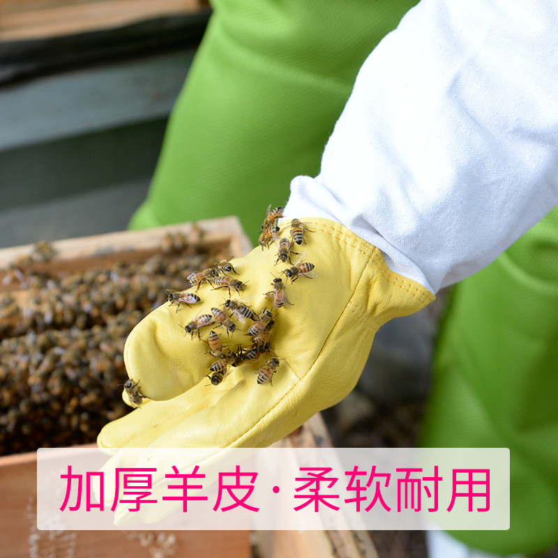 防蜂手套 柔软羊皮养蜂手套 加厚防蜂蜇养蜂工具蜜蜂防护手套