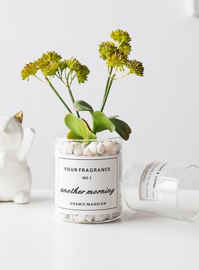 北欧盆栽仿真植物仙人掌假多肉绿植ins客厅室内装饰假花创意定制