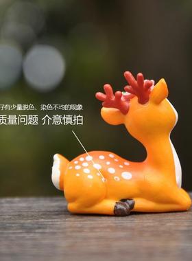 可爱小鹿王子公主玩偶摆件梅花鹿多肉花盆栽微景观桌面蛋糕装饰品