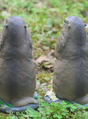 外贸庭院树脂乡村土拨鼠摆件