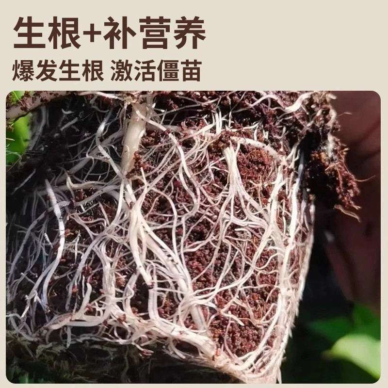 树木移栽专用生根粉快速生根壮苗扦插果树蔬菜植物通用果树专用,淘宝优惠券,粉丝福利购,淘宝优惠卷