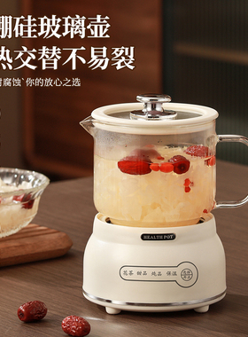 养生壶煮茶炉办公室小型煮茶器