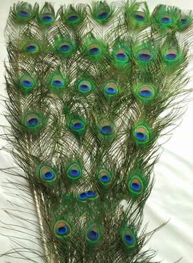 纯天然孔雀翎尾家居饰品真饰品羽毛摆件客厅毛花瓶装饰凤凰家居花