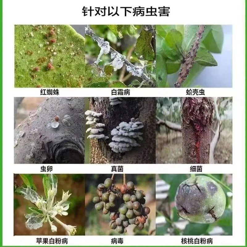 清园剂清满园替代石硫合剂杀菌杀卵虫果树大清园大棚蔬菜清棚剂 - 图1