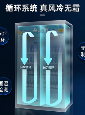 志高展示柜双门三门冷藏保鲜柜冰箱商用饮料酒水冰柜风冷无霜立式