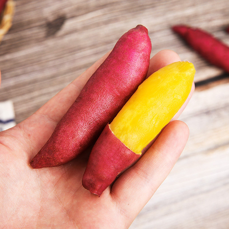 【正大出品】品牌天目山小香薯红薯 正大领鲜番薯