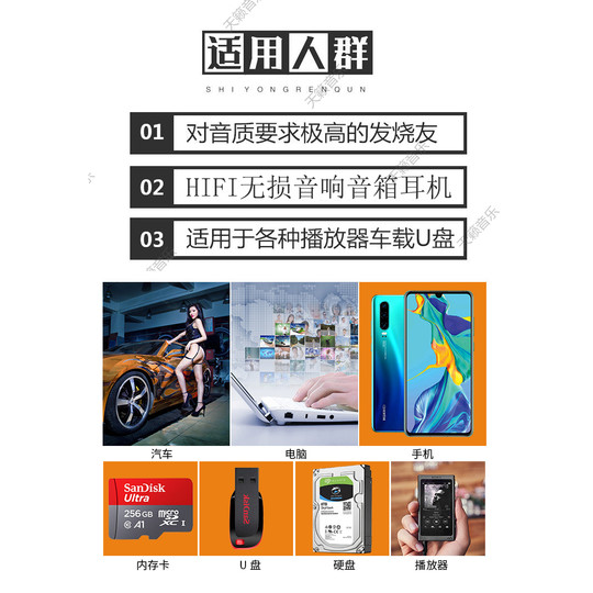 Embauche téléchargement de musique haute résolution DSD qualité sans perte source sonore douce WAV/DTS5.1 canal voiture HIFI