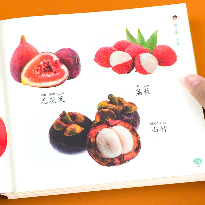 儿童认物大全图画书宝宝启蒙认知认识物品0-3岁动物植物水果蔬菜,淘宝优惠券,粉丝福利购,淘宝优惠卷