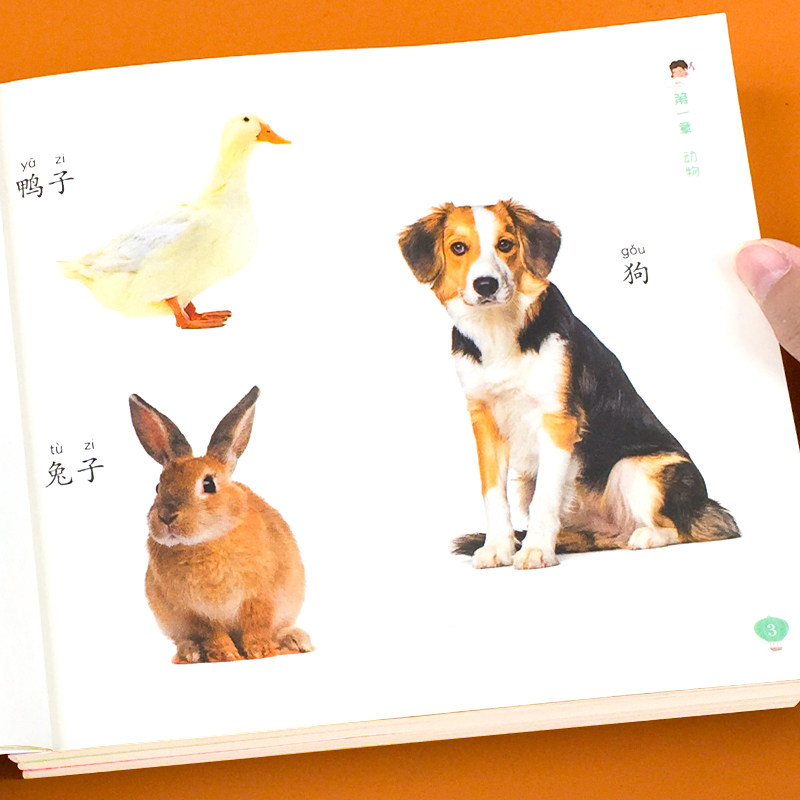 儿童认物大全图画书宝宝启蒙认知认识物品0-3岁动物植物水果蔬菜,淘宝优惠券,粉丝福利购,淘宝优惠卷