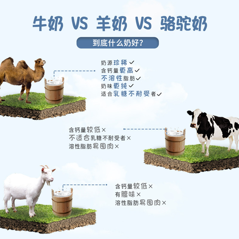 朗迪家族驼奶益生菌驼乳钙压片糖果 朗迪保健品钙铁锌/钙镁