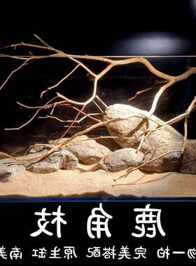 。鹿角枝杜鹃枝沉木原生南美鱼缸造景枯木软装天然树枝插花壁挂摆