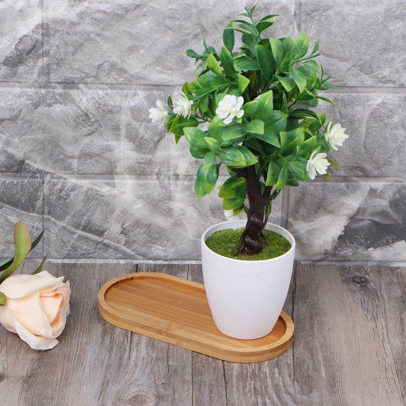 Oval Shape Bamboo Wood Saucer Plant Tray Mini Plant Flower P - 图2