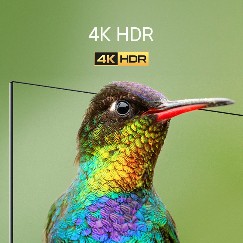 55英寸4k护眼智能液晶 沃兰硕超声波清洗机