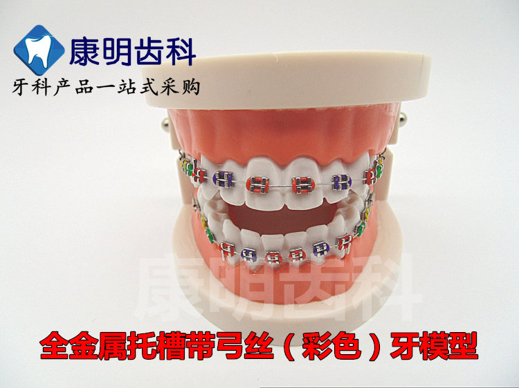 牙科齿科材料金属托槽牙模型 医患沟通教学口腔牙模型包邮,淘宝优惠券,粉丝福利购,淘宝优惠卷