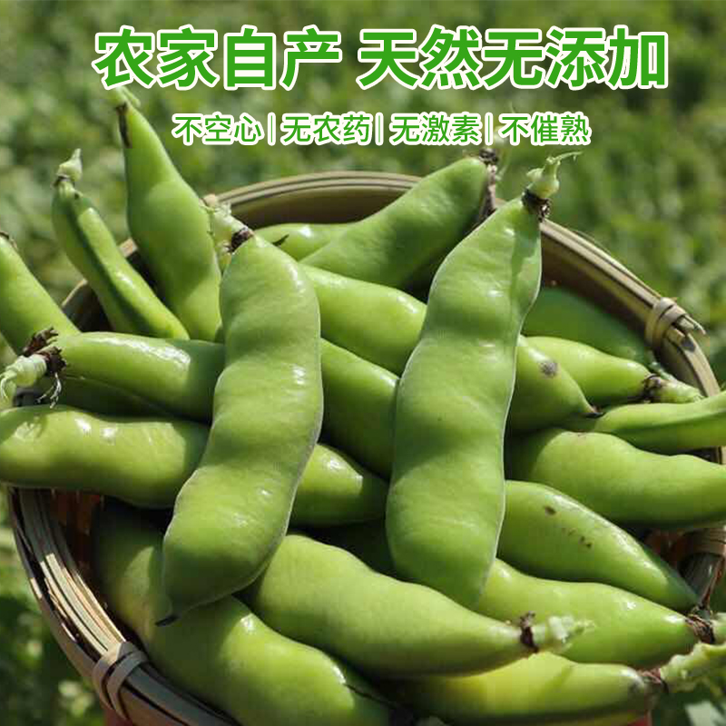 苏北农家新鲜生大绿心带壳蚕豆米嫩胡罗汉豆角10斤青豆荚蔬菜现摘 - 图0