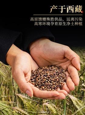 西藏高原黑青稞户佛特别贡品满扎饰品八件用品及护理包0.5公斤