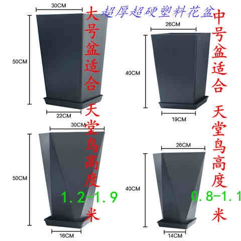 网红特大发财树花盆2021新款客厅现代简约大号北欧风格天堂鸟专w9-图1