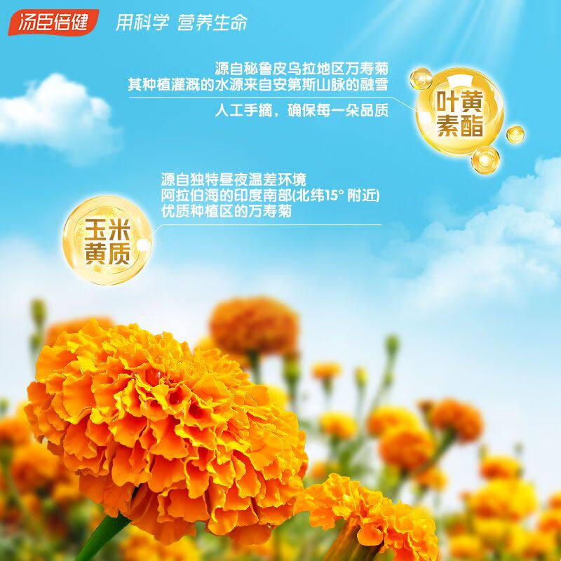 汤臣倍健dha藻油磷脂酰丝氨酸正品官方旗舰店脑眼营养凝胶糖果,淘宝优惠券,粉丝福利购,淘宝优惠卷