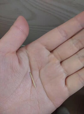 正宗茶叶梗耳棒茶叶梗耳棒养耳洞耳钉茶梗杆竹棒耳棍茶叶棍耳针棒