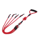 Магазин магазина закулисных гостей за тысячи лет может удалить двух собак, одна перетаскивание, две тяговые веревки, две головы, собаки, цепь собак, плюшевые золотые волосы маленькие принадлежности для собак