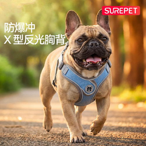 狗狗牵引绳胸背带狗胸背防爆冲狗链中小型犬巴哥狗背心式狗绳项圈 - 图0