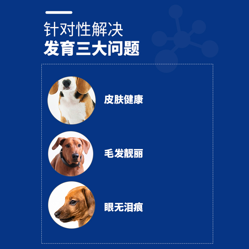 提莫通用狗粮泰迪博美柯基比熊小型犬幼犬离乳专用奶糕粮倍能5斤-图2