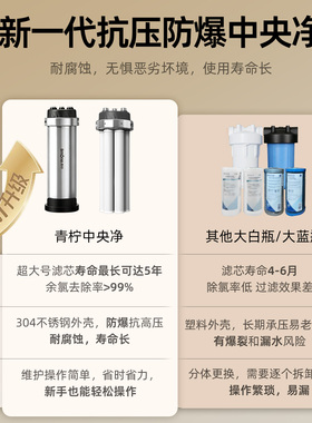 青柠中央净水器滤芯原装正品
