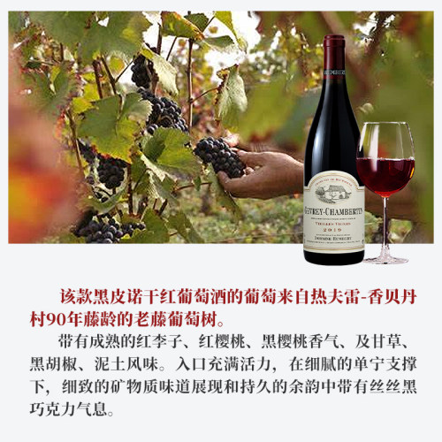亨伯特兄弟酒庄热夫雷香贝丹村级老藤黑皮诺干红葡萄酒2019年 - 图2