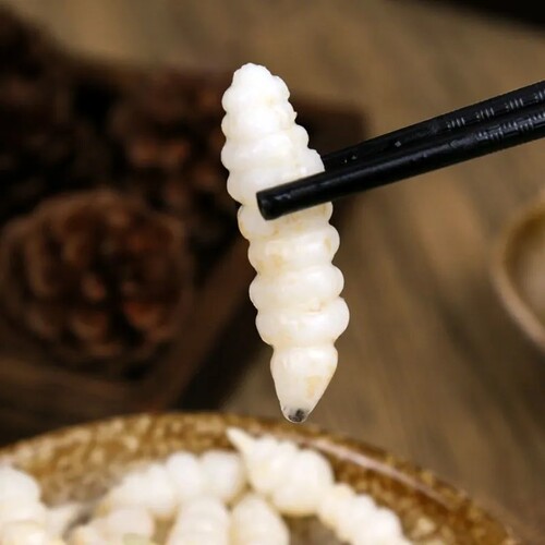 阿蓬江玉珠地牯牛400g重庆特产黔江泡菜宝塔菜蚕妞妞泡椒下饭菜古 - 图2