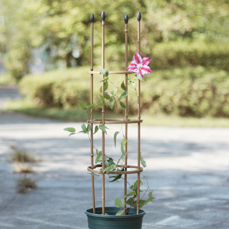 植物花卉爬藤架铁线莲月季花支架仿竹子圆柱花架室内固定花支撑杆-图2