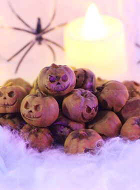 20PCS Miniature Resin Pumpk for Decorating HalloweenParty Gi