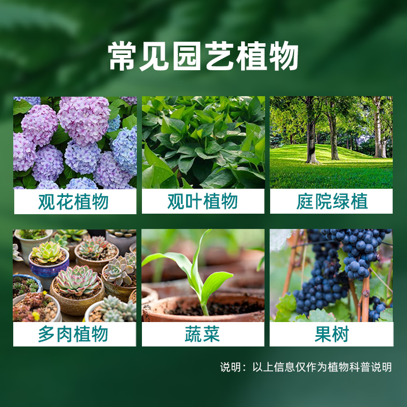 施奇摇摇乐园艺防虫颗粒剂恶霉灵土壤杀菌剂月季花病虫烂根专用药 - 图1