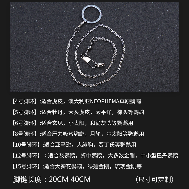 不锈钢鹦鹉脚链虎皮牡丹玄凤八哥鹩哥鸟站架开口脚环用品用具鸟链 - 图0