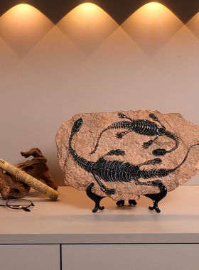 仿真恐龙化石纪念标本模型摆件