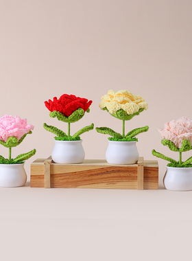 编织花高级感桌面摆设永生花礼物